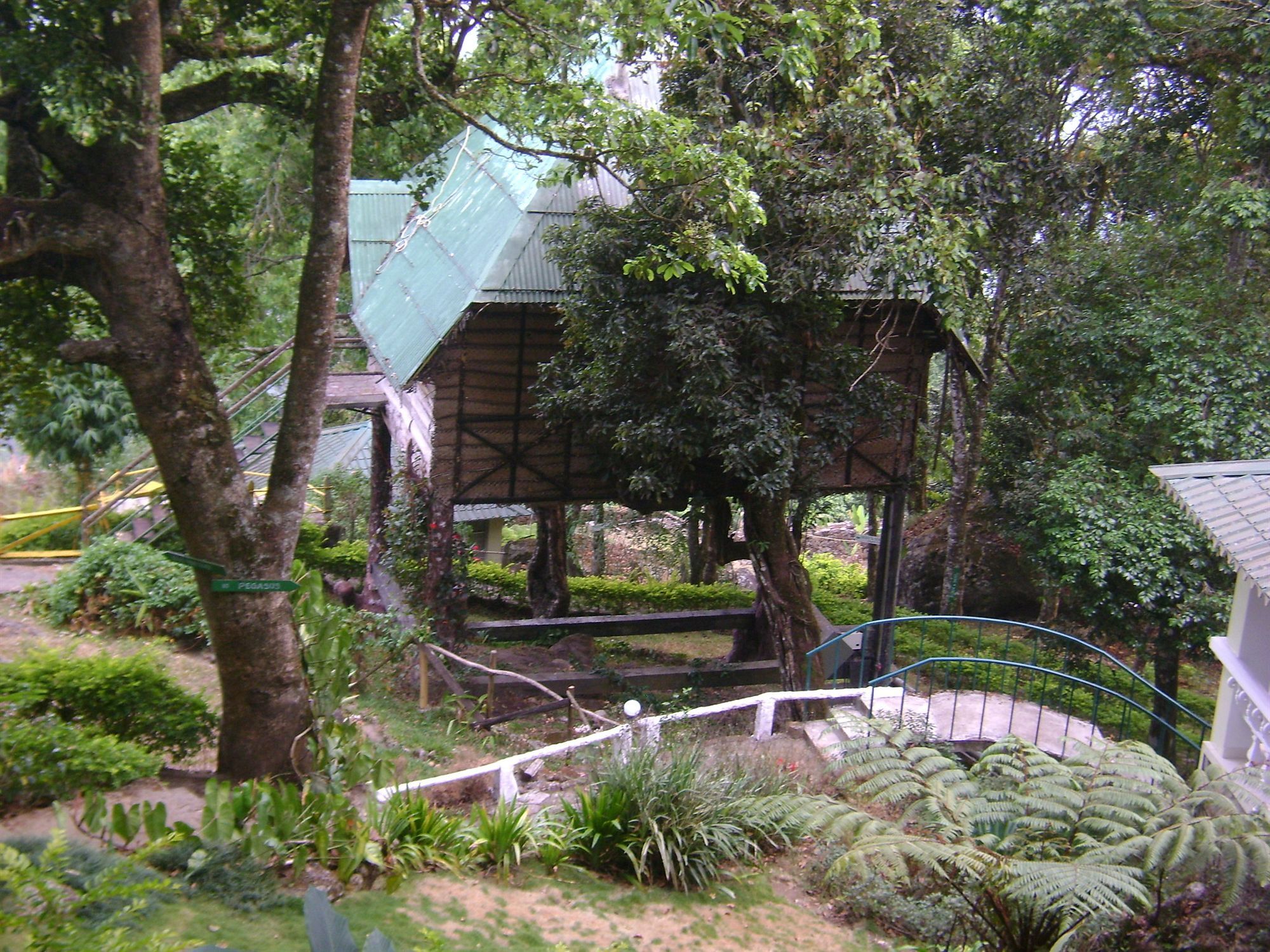 Great Escapes Resorts Munnar Εξωτερικό φωτογραφία